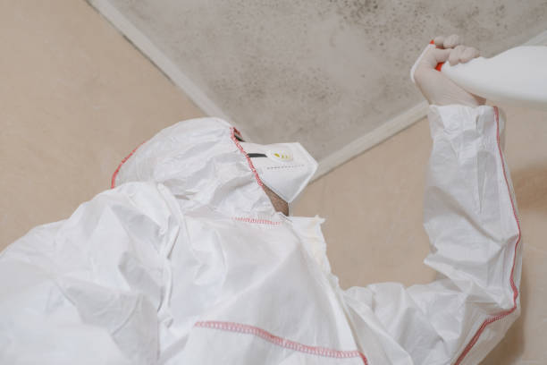 Best Residential Mold Remediation in Lford, MI